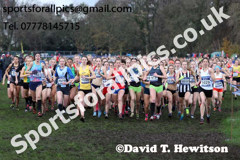 Senior Women and under-23 Womens 2017 British Athletics Liverpool Cross Challenge, Sefton Park, Liverpool. Photo:  David T. Hewitson/Sports for All Pics